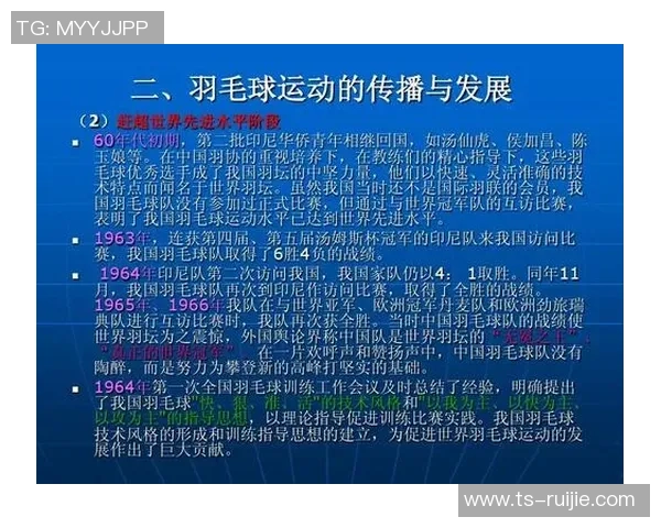 武汉羽毛球队战术解析聚焦羽毛球竞技策略与团队协作的完美结合